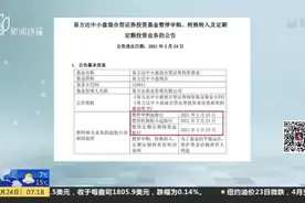 澎湃新闻：净值大跌4.44%后张坤管理的易方达中小盘基金暂停申购视频封面