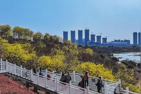 持续擦亮“中国绿城”金字招牌 打造更高水平生态宜居城市图片