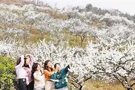 赏花 一定不要错过这些地方图片