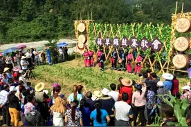 我们的节日·口述民俗丨四川宣汉土家族的“薅草锣鼓”为何能成为国家级“非遗”？图片