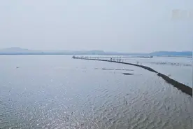 航拍望八里湖：野生鸟类的“温柔乡”视频封面