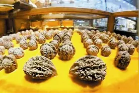 河北涞水县核桃文化：文玩核桃的前世今生图片