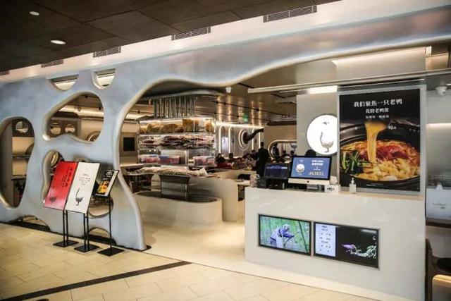 鸭煲花胶 2026年花胶鸭汤的做法大全