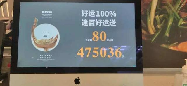 鸭煲花胶 2026年花胶鸭汤的做法大全