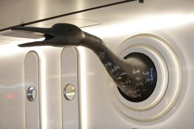 鸭煲鱼胶的功效与作用 2026年鸭煲鱼胶的功效与作用是什么