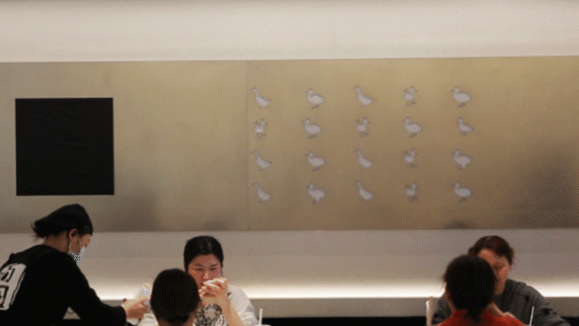 鸭煲鱼胶的功效与作用 2026年鸭煲鱼胶的功效与作用是什么