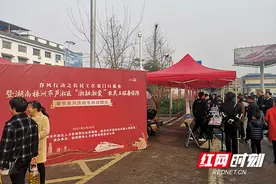 株洲芦淞区“春风”送岗到身边“湘融湘爱”促就业图片