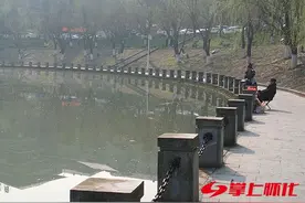 注意啦！鱼虾类活体水生生物不能做钓饵图片