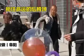 鸵鸟逃跑被工作人员拎脖带回，鸵鸟：我不要面子的呀图片