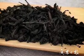 天价岩茶”每斤数十万元！宁德也有吗？检查结果来了……图片