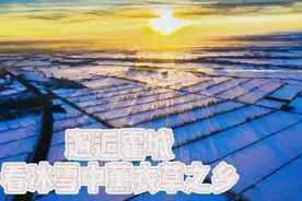 新疆是个好地方｜邂逅霍城：看冰雪中的“中国薰衣草之乡”图片