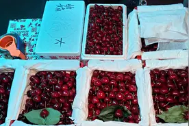 进口车厘子实现“价格自由”，国产大樱桃成“新贵”图片