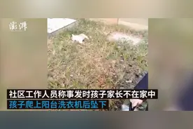 无锡5岁女孩抱宠物狗从13楼坠下：小狗当场死亡，女孩仍在抢救图片