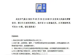 注意防范！武汉发布大风蓝色预警图片