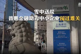 雪中送炭 普惠金融助力中小企业闯过难关视频封面
