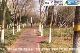 打磨树皮、缠胶带、涂油 让草履蚧虫上树“举步维艰”图片