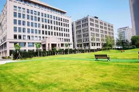 租赁5000平方米厂房，企业一年可省成本约55万元……九亭镇出台优化营商环境“12条举措”图片