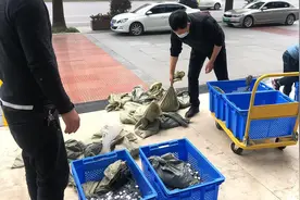成都市民拖一吨硬币到银行存钱，“硬币是许愿池里捞出来的”图片