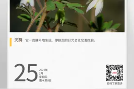 湖湘自然历｜千年老鼠屎，敢吃吗？图片