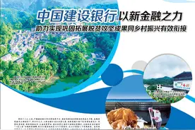 中国建设银行 以新金融之力图片