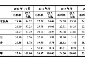 IPO雷达｜遭员工“恶评”，老牌IT外包公司软通动力难逃华为阴影图片