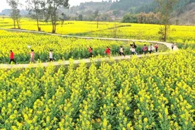 春暖花开图片