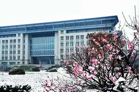 持续更新｜正月十五雪挑灯！山东多地迎降雪，来看朋友圈的雪景图片
