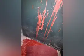 女子吃完被送错外卖后家门遭泼红漆！饿了么：会配合警方调查图片