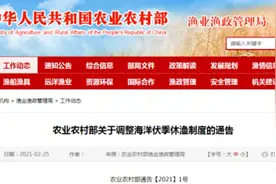 2021年休渔期定了！农业农村部发布最新通告图片