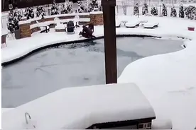 狗子不慎一头栽进冰冻池水中起不来，主人发现火速下水破冰救起图片