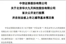 国产EDA龙头华大九天已上市辅导，国家大基金持股11%图片