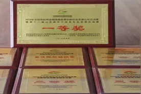 2021年山东单招综招选专业｜山东协和学院电子商务专业介绍图片
