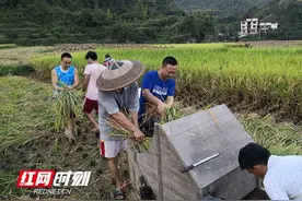 “全国脱贫攻坚先进个人”宋刘斌：博士“村民”的扶贫情怀图片