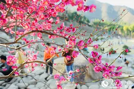 湖北十堰茅箭区：“生态路”打造“绿富美”图片