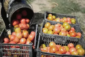 中国宣告消除千年绝对贫困图片