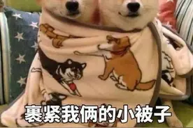 看完头皮发麻！上海海关查获406只活体蚂蚁！这也能当宠物养？图片
