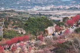 汕头出游赏花好去处：十里桃花，春日斗艳图片