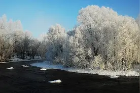 东北人的泪点图片