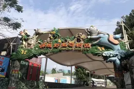 市民发文质疑深圳野生动物园虐待动物，园区：实际情况与市民所见有出入图片