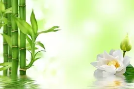 刘瑞记：浅谈修心图片