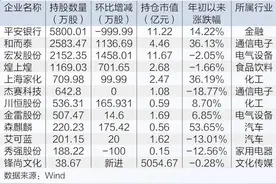 年报季社保基金12只重仓股曝光，增持9只，减持2只，“聪明钱”往何处去？图片