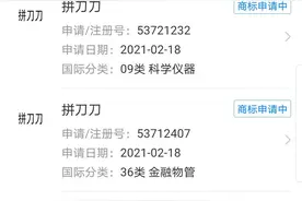 《赘婿》热门梗“拼刀刀”迅速被注册，网友：这是拼啥？拼刀吗？图片