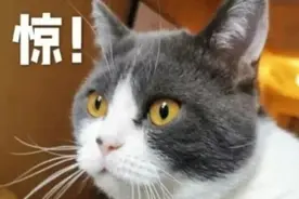 警惕！男子一下查出三种原发癌！医生这样说……图片