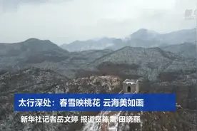 太行深处：春雪映桃花 云海美如画视频封面
