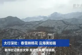 太行深处：春雪映桃花 云海美如画视频封面