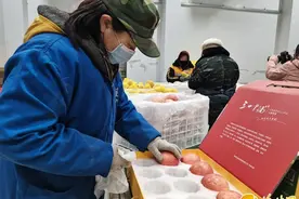 全市最大的冷冻保险库正式运行图片