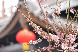 邢台园博园：春色盎然惹人醉 花影婆娑迎客来图片