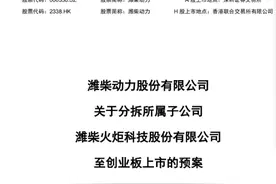 从A股“消失”14年！这家公司要登陆创业板，曾是“德隆系”三驾马车之一图片