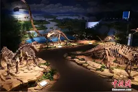 大国“寻龙记”：中国恐龙如何被发现并“走向”世界？图片