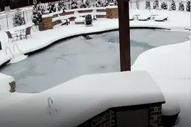 美国田纳西州一女子跳入冰冻泳池 打破冰层救落水爱犬图片